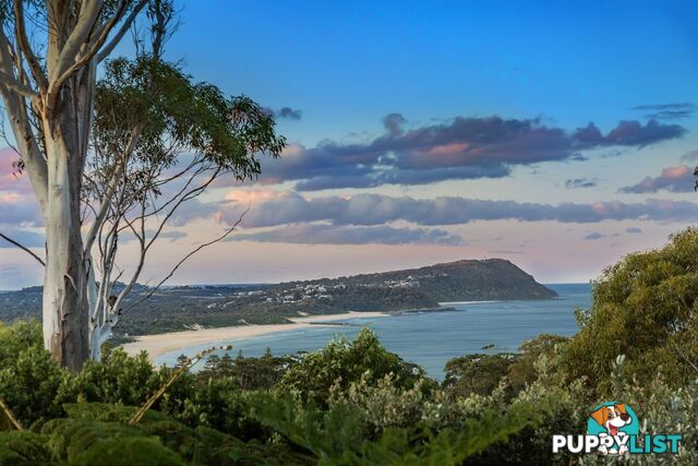 161 Scenic Highway TERRIGAL NSW 2260