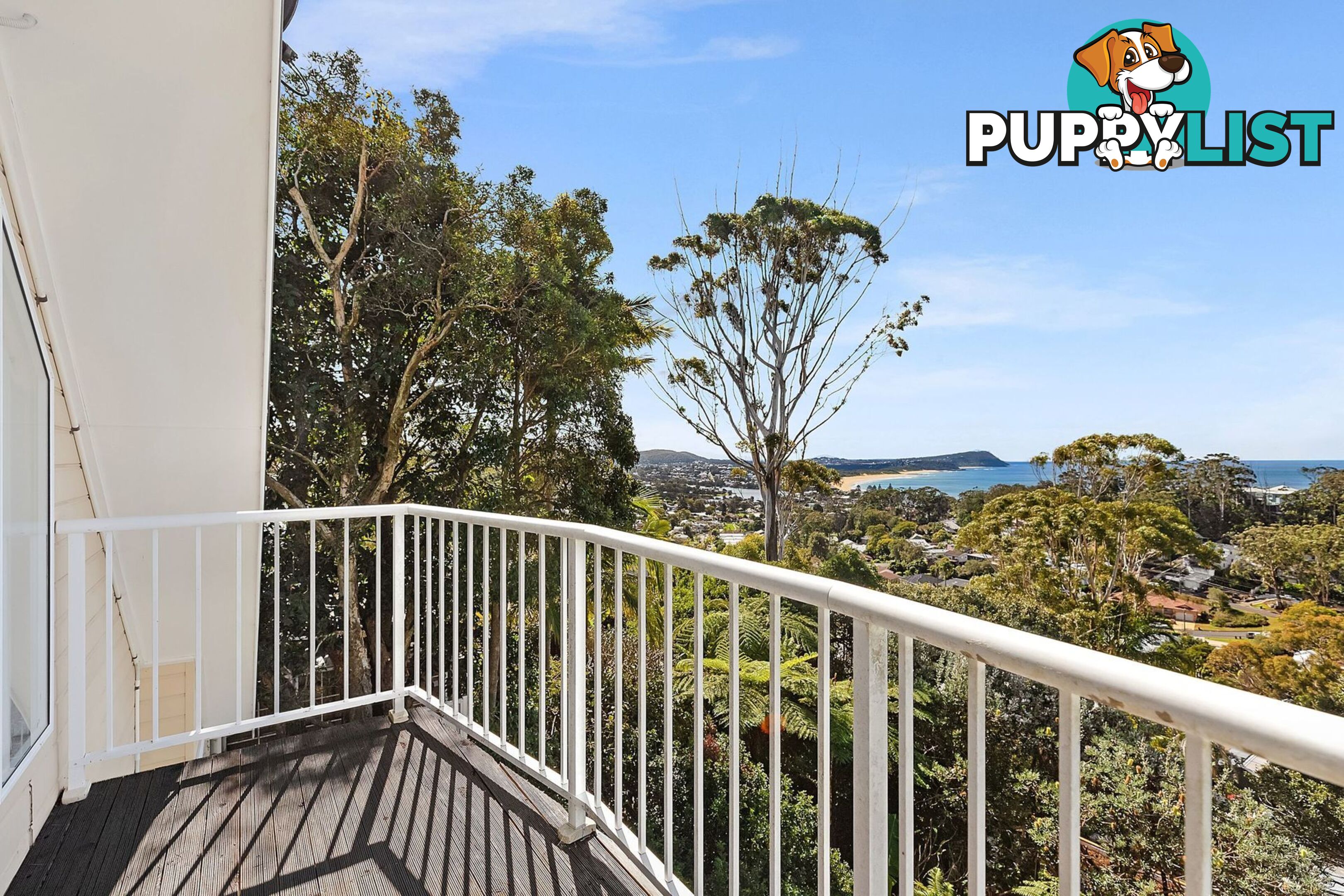 161 Scenic Highway TERRIGAL NSW 2260