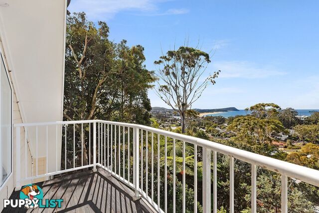 161 Scenic Highway TERRIGAL NSW 2260