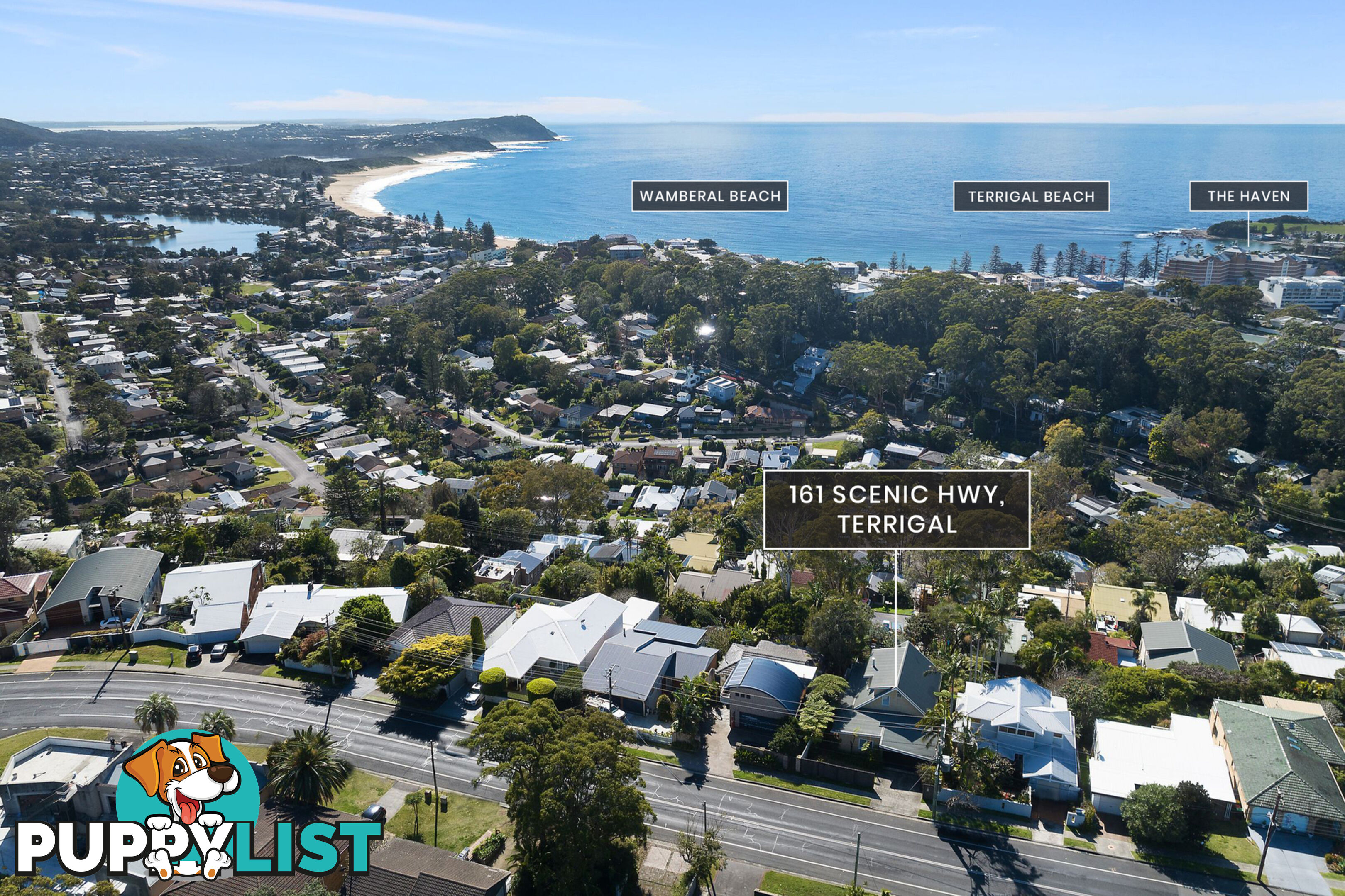 161 Scenic Highway TERRIGAL NSW 2260