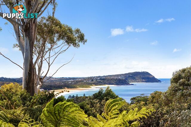 161 Scenic Highway TERRIGAL NSW 2260