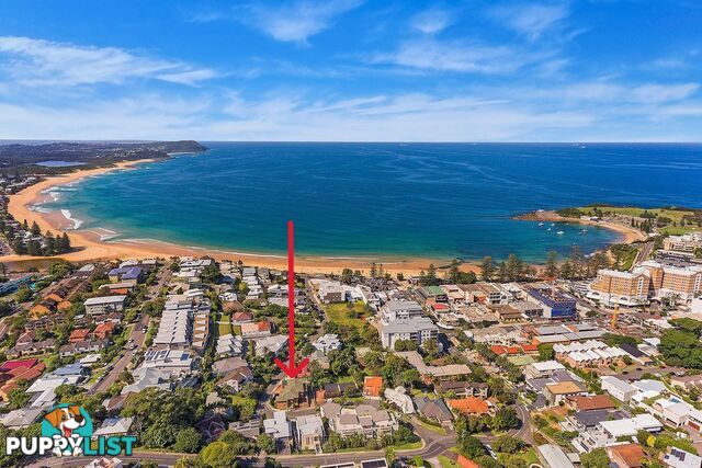3/24 Painters Lane TERRIGAL NSW 2260