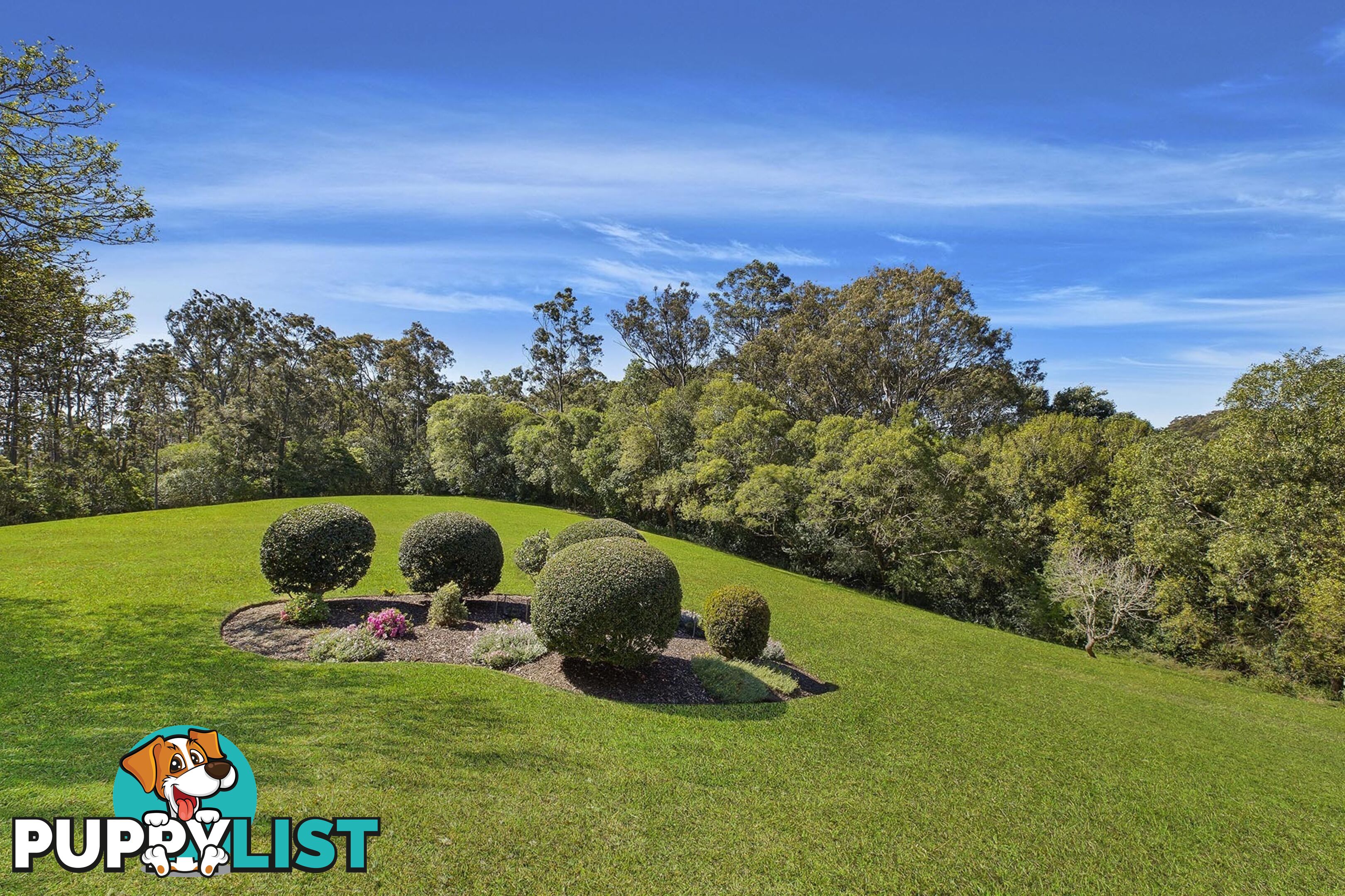 115 Glenning Road GLENNING VALLEY NSW 2261