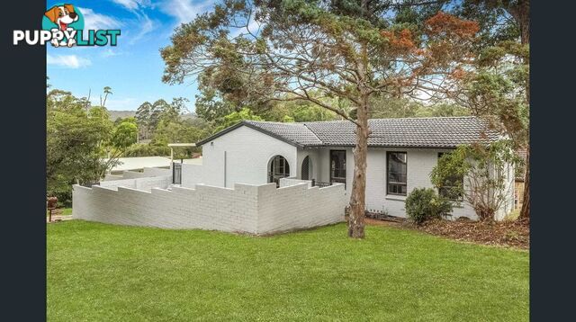 60 Turpentine Street WYOMING NSW 2250