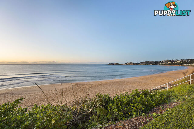 89 Ocean View Drive WAMBERAL NSW 2260
