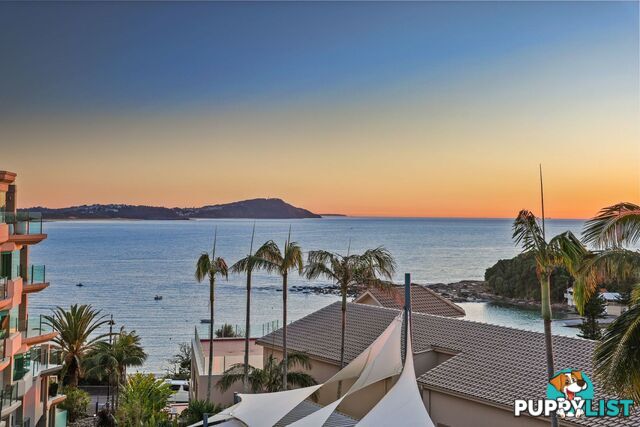 28/8 Terrigal Esplanade TERRIGAL NSW 2260