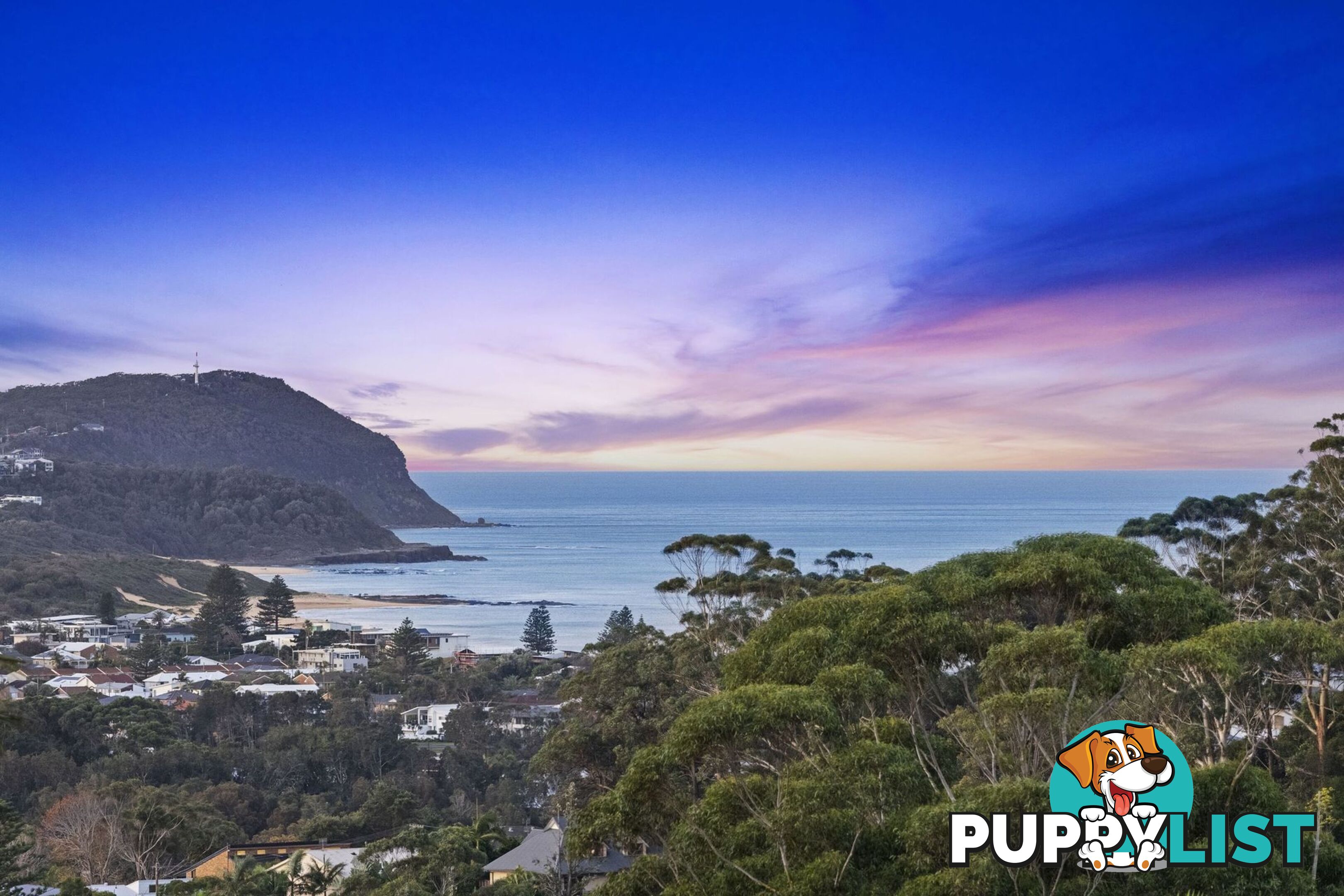 22 Charles Kay Drive TERRIGAL NSW 2260