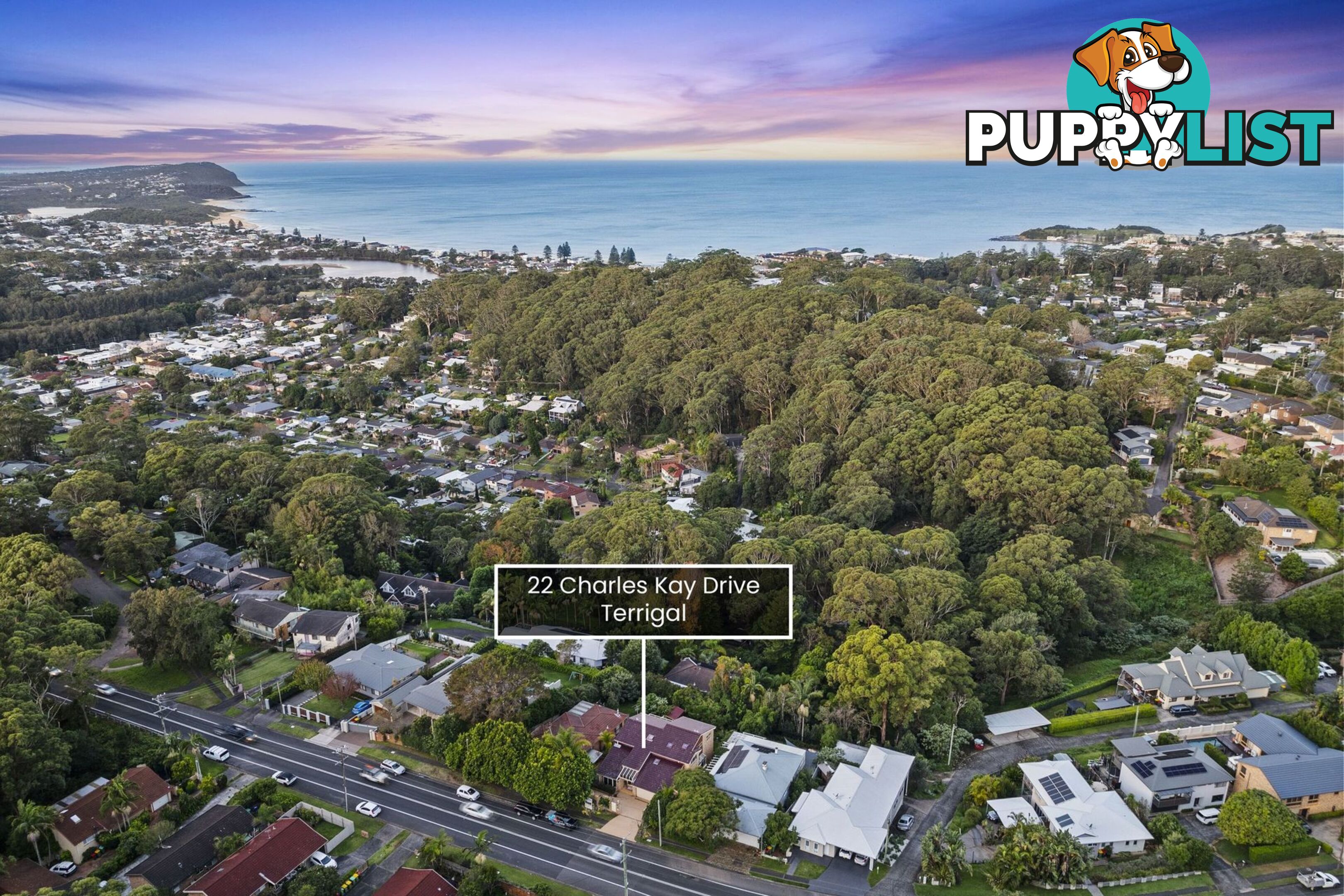 22 Charles Kay Drive TERRIGAL NSW 2260