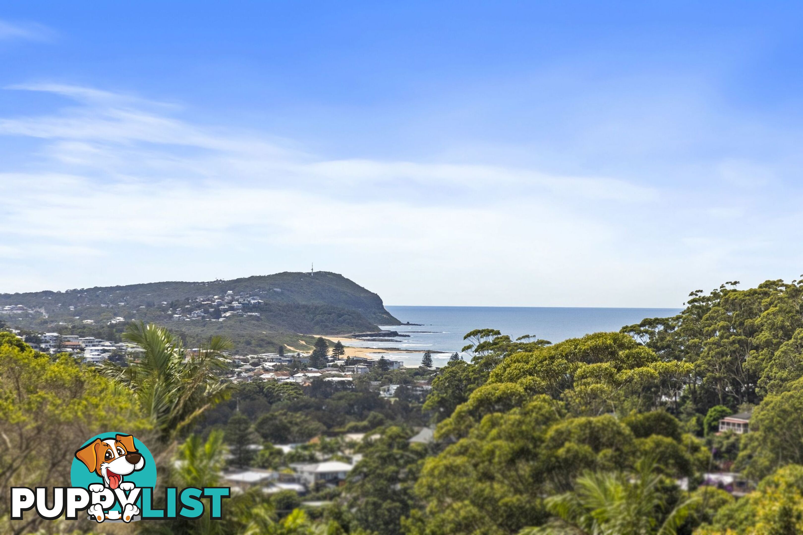 22 Charles Kay Drive TERRIGAL NSW 2260
