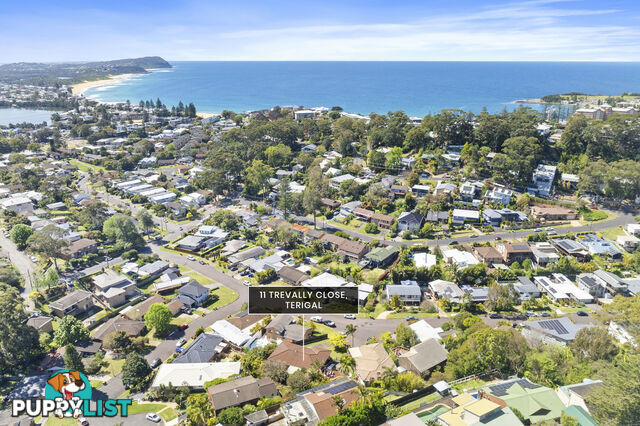 11 Trevally Close TERRIGAL NSW 2260