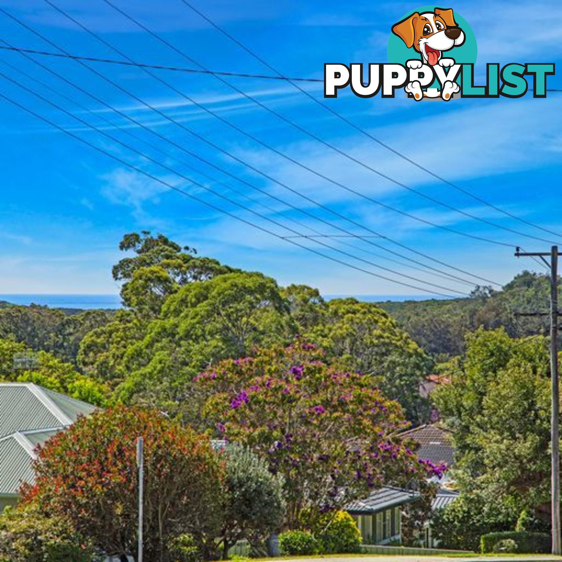 68 Old Gosford Road WAMBERAL NSW 2260