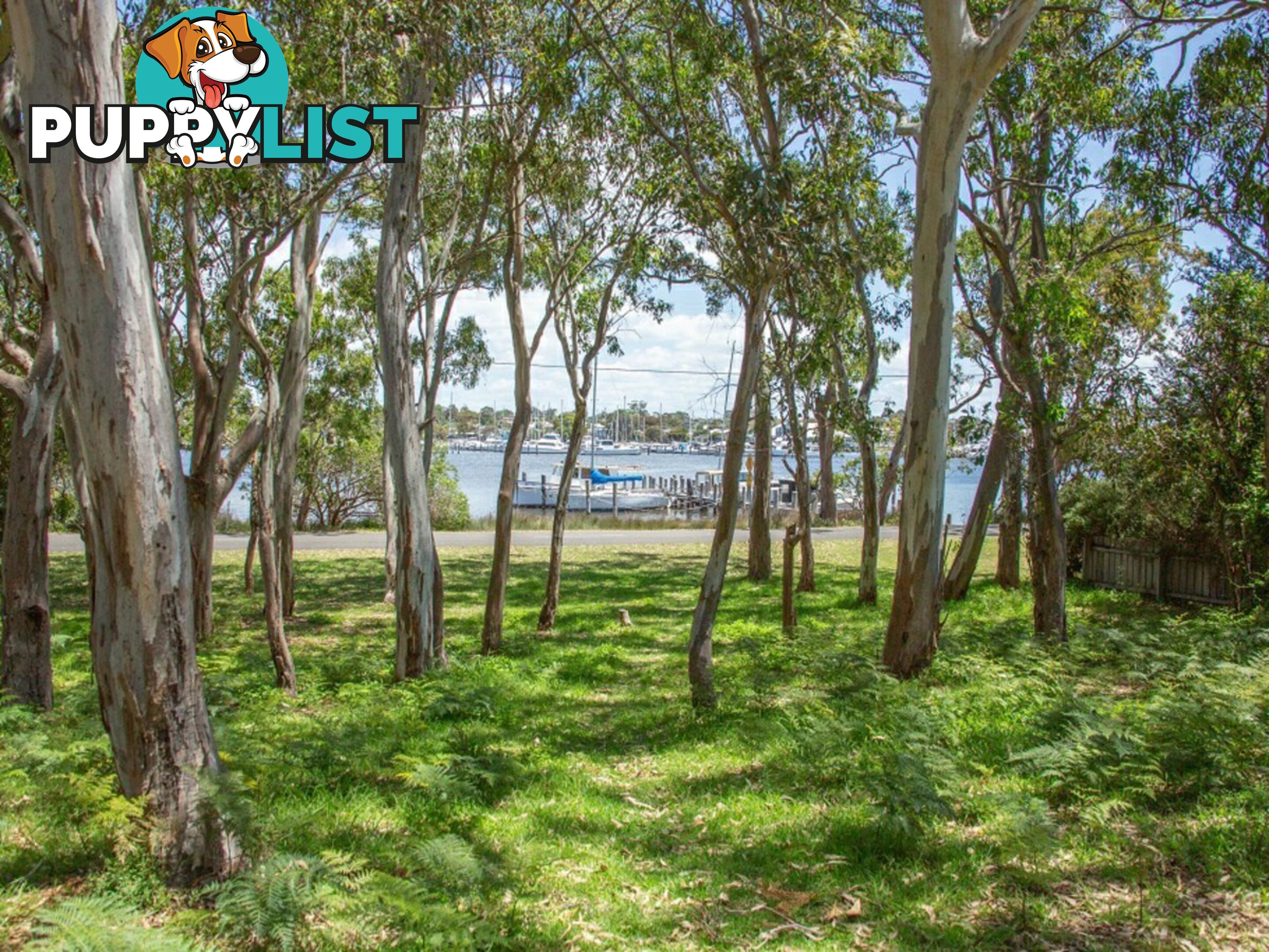 119 Western Boulevard RAYMOND ISLAND VIC 3880