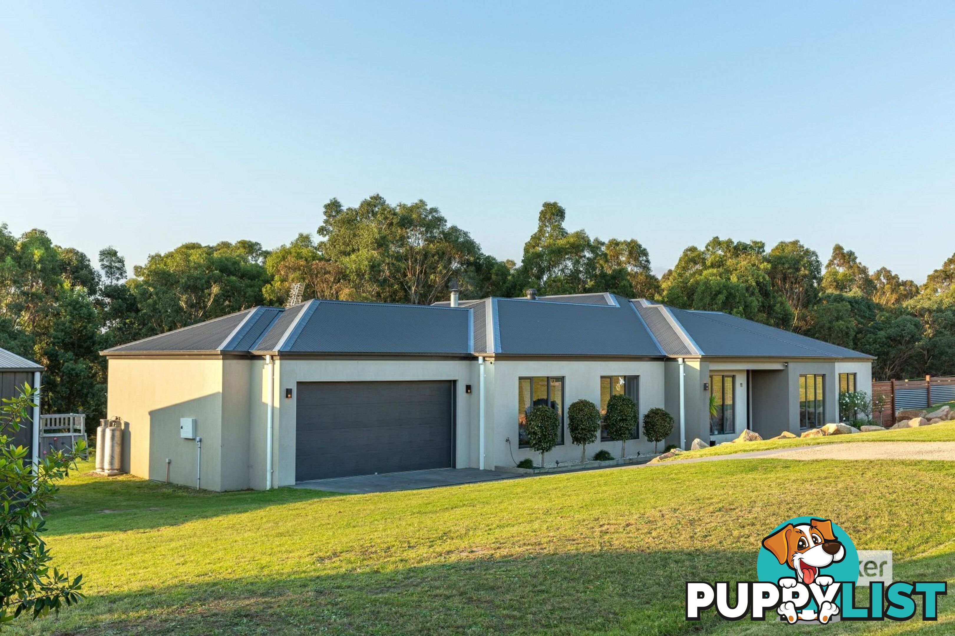 11 Besley Close METUNG VIC 3904
