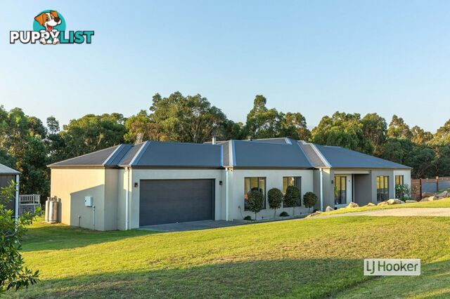 11 Besley Close METUNG VIC 3904