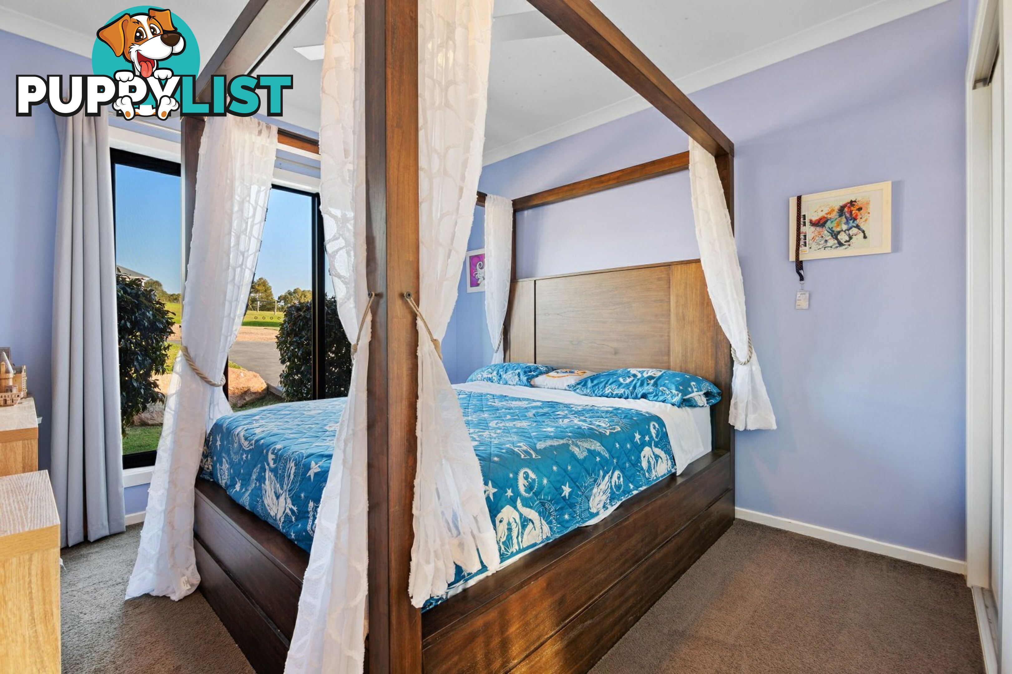 11 Besley Close METUNG VIC 3904