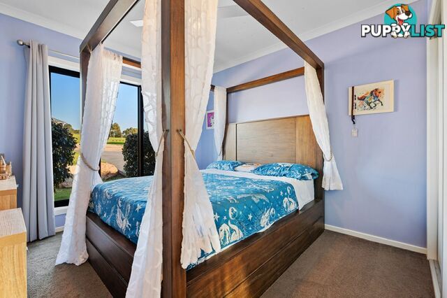 11 Besley Close METUNG VIC 3904