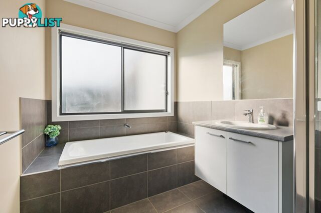 11 Besley Close METUNG VIC 3904