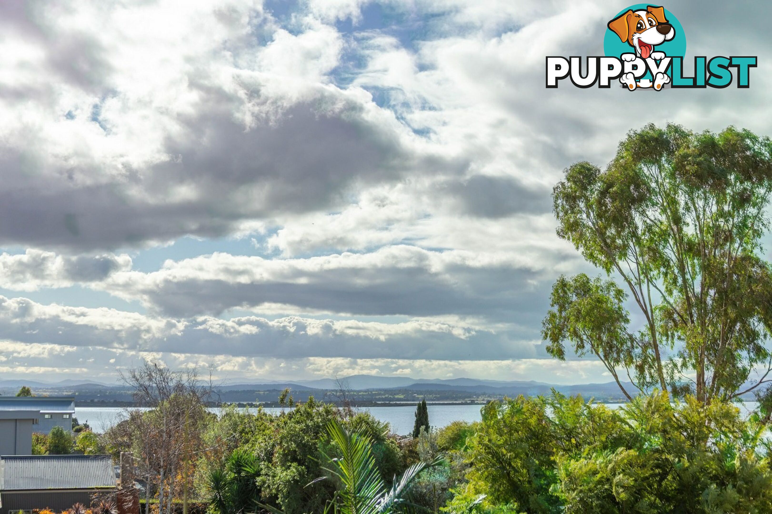 4 Wisteria Place PAYNESVILLE VIC 3880