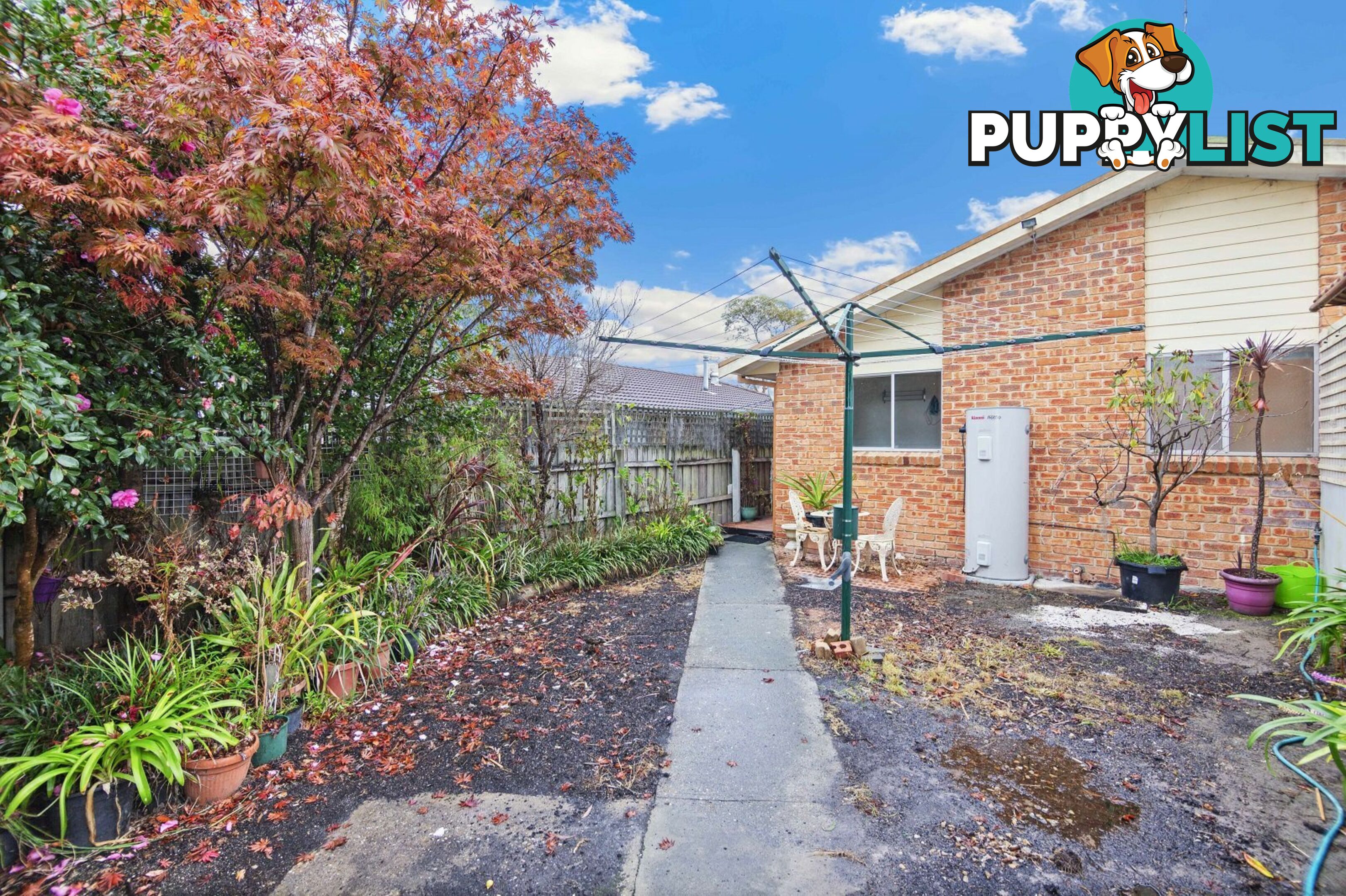 6 Waratah Avenue PAYNESVILLE VIC 3880