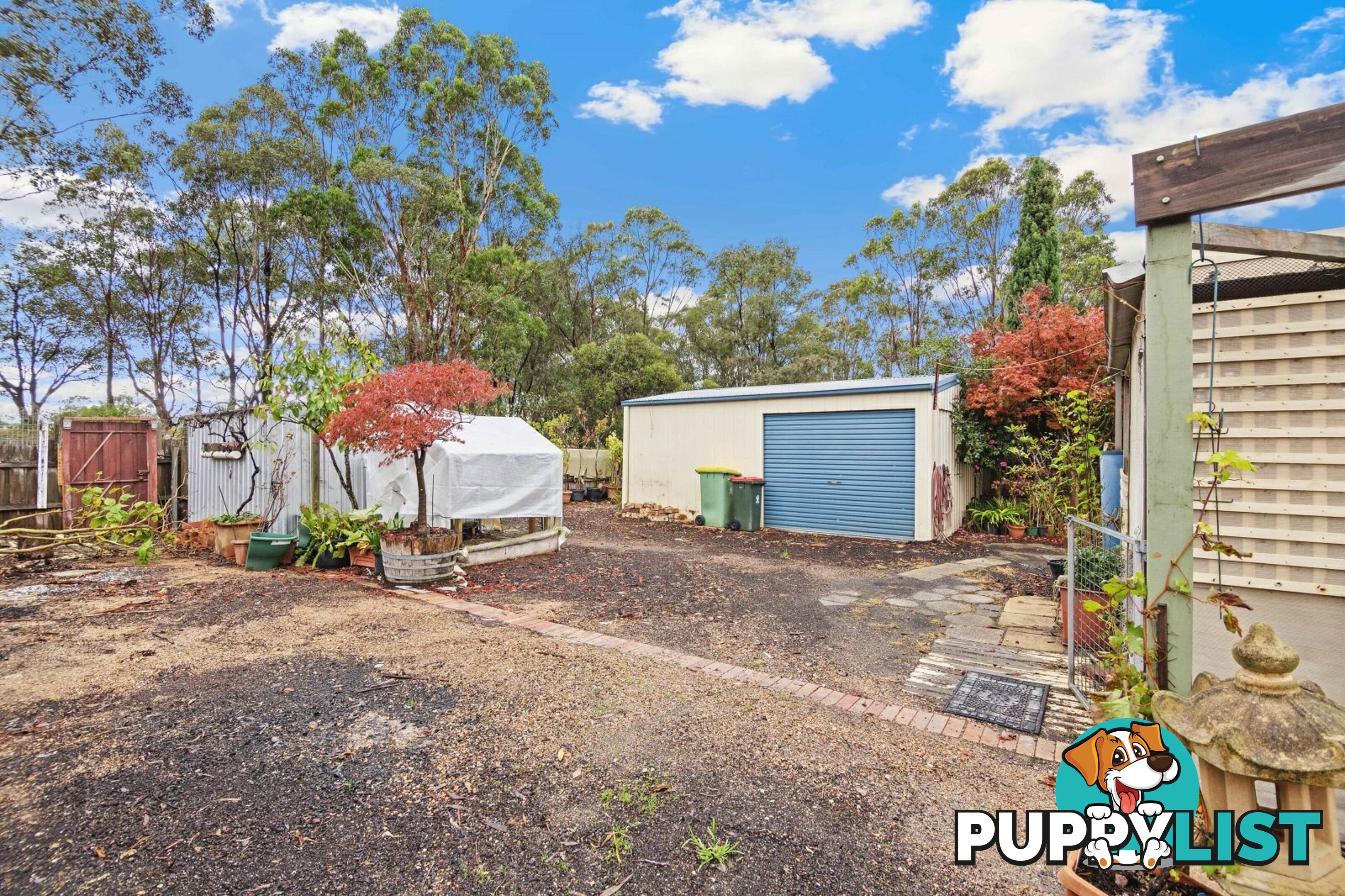 6 Waratah Avenue PAYNESVILLE VIC 3880