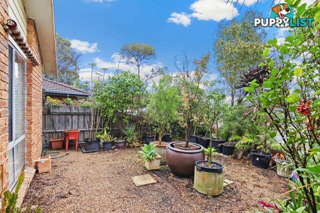 6 Waratah Avenue PAYNESVILLE VIC 3880