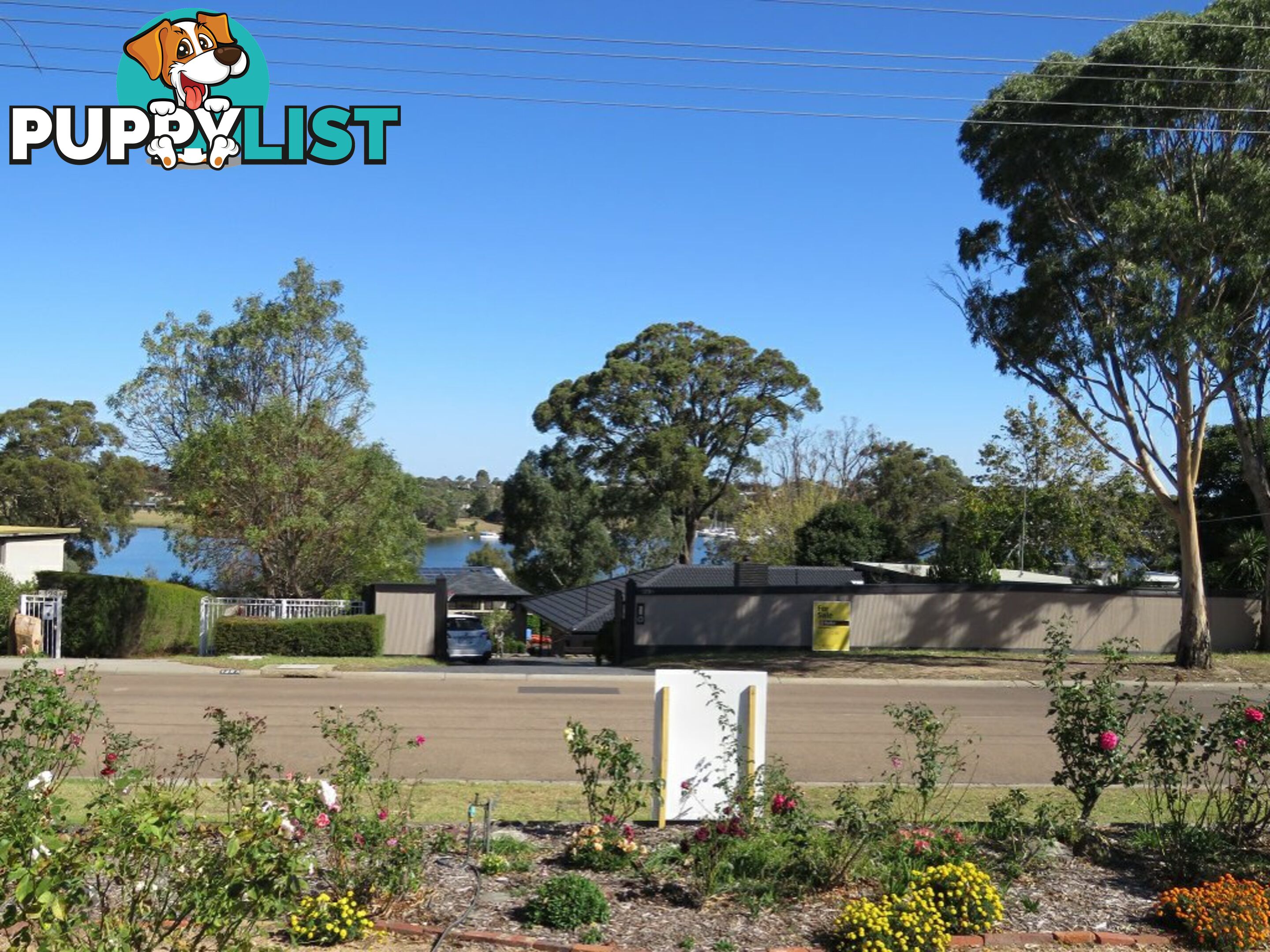 134 Newlands Drive PAYNESVILLE VIC 3880