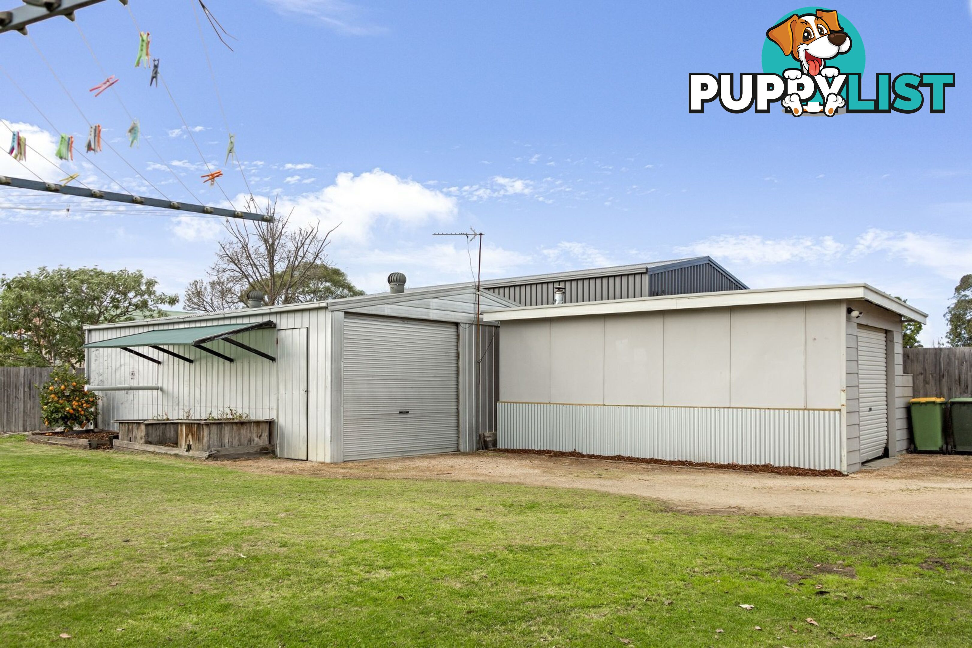 16 Cumming Street PAYNESVILLE VIC 3880