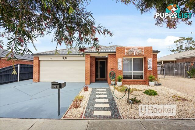 13 Digney Street PAYNESVILLE VIC 3880