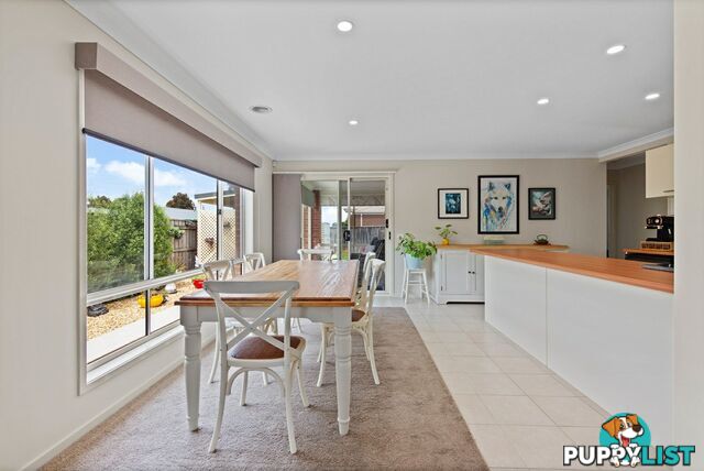 13 Digney Street PAYNESVILLE VIC 3880