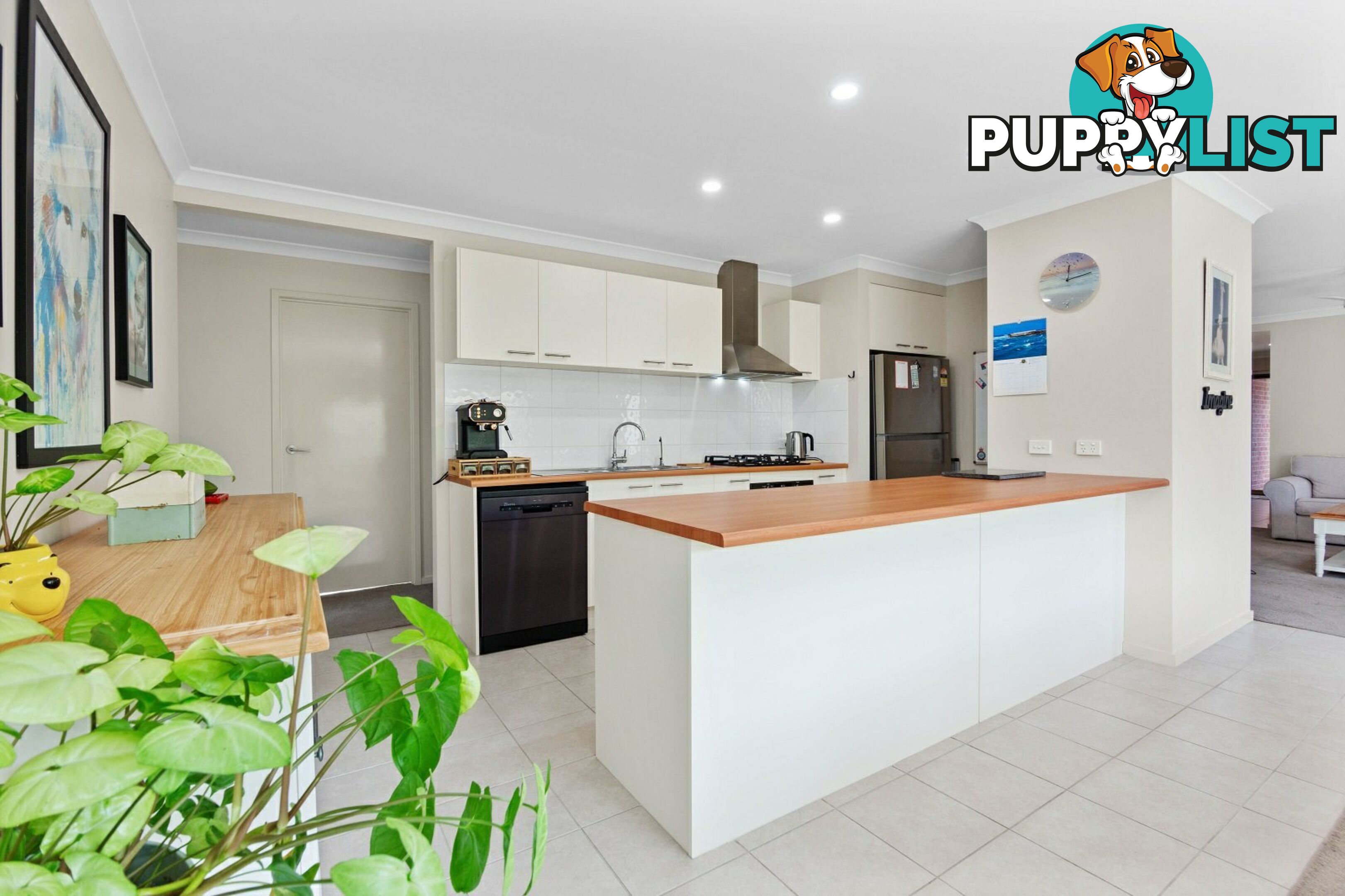 13 Digney Street PAYNESVILLE VIC 3880