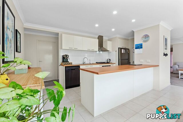 13 Digney Street PAYNESVILLE VIC 3880
