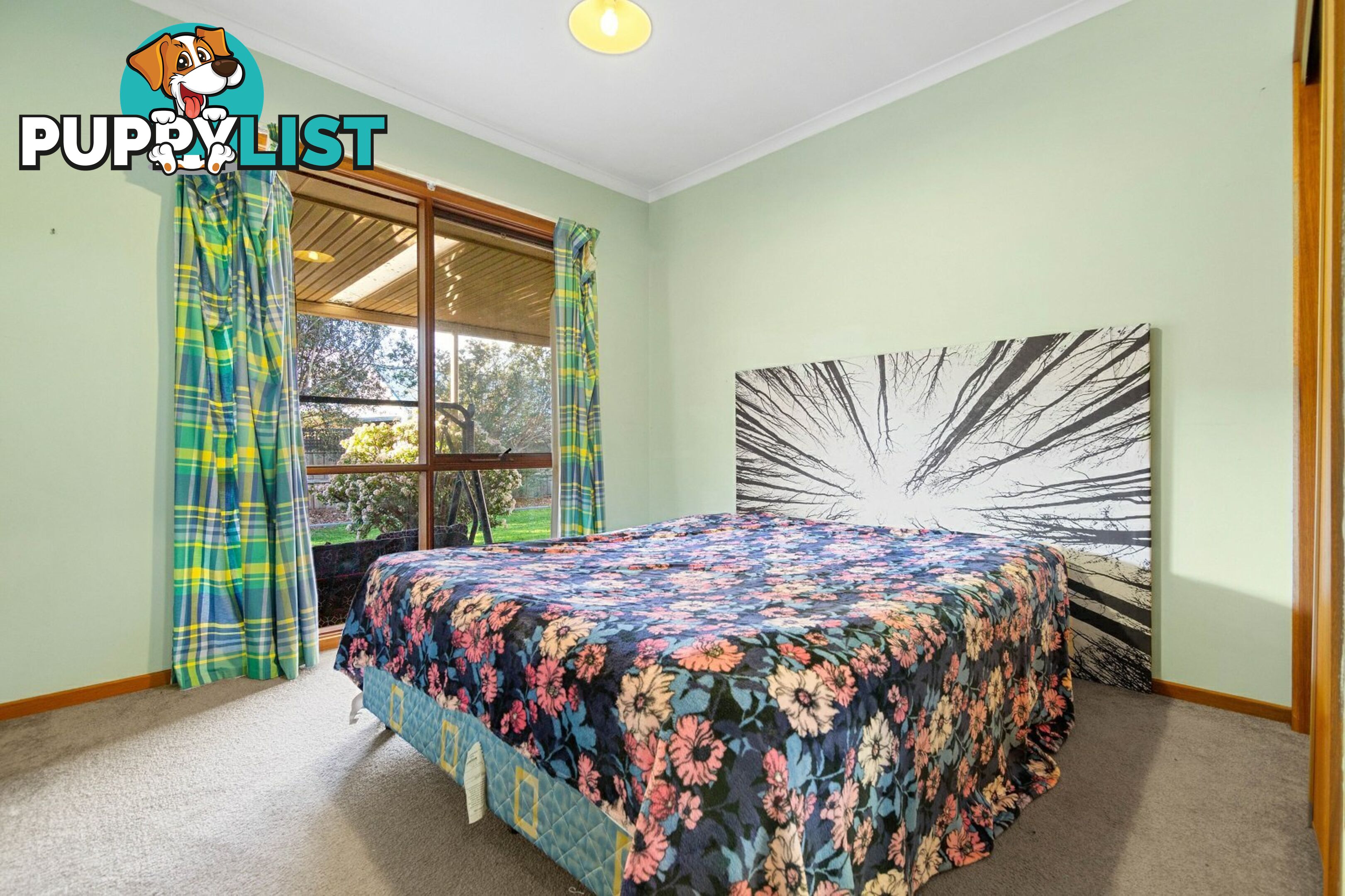 16 Queen Street PAYNESVILLE VIC 3880