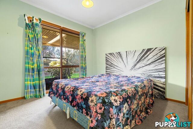 16 Queen Street PAYNESVILLE VIC 3880