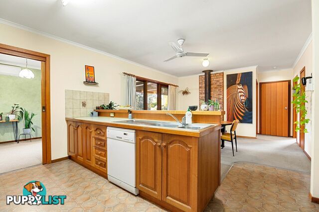 16 Queen Street PAYNESVILLE VIC 3880