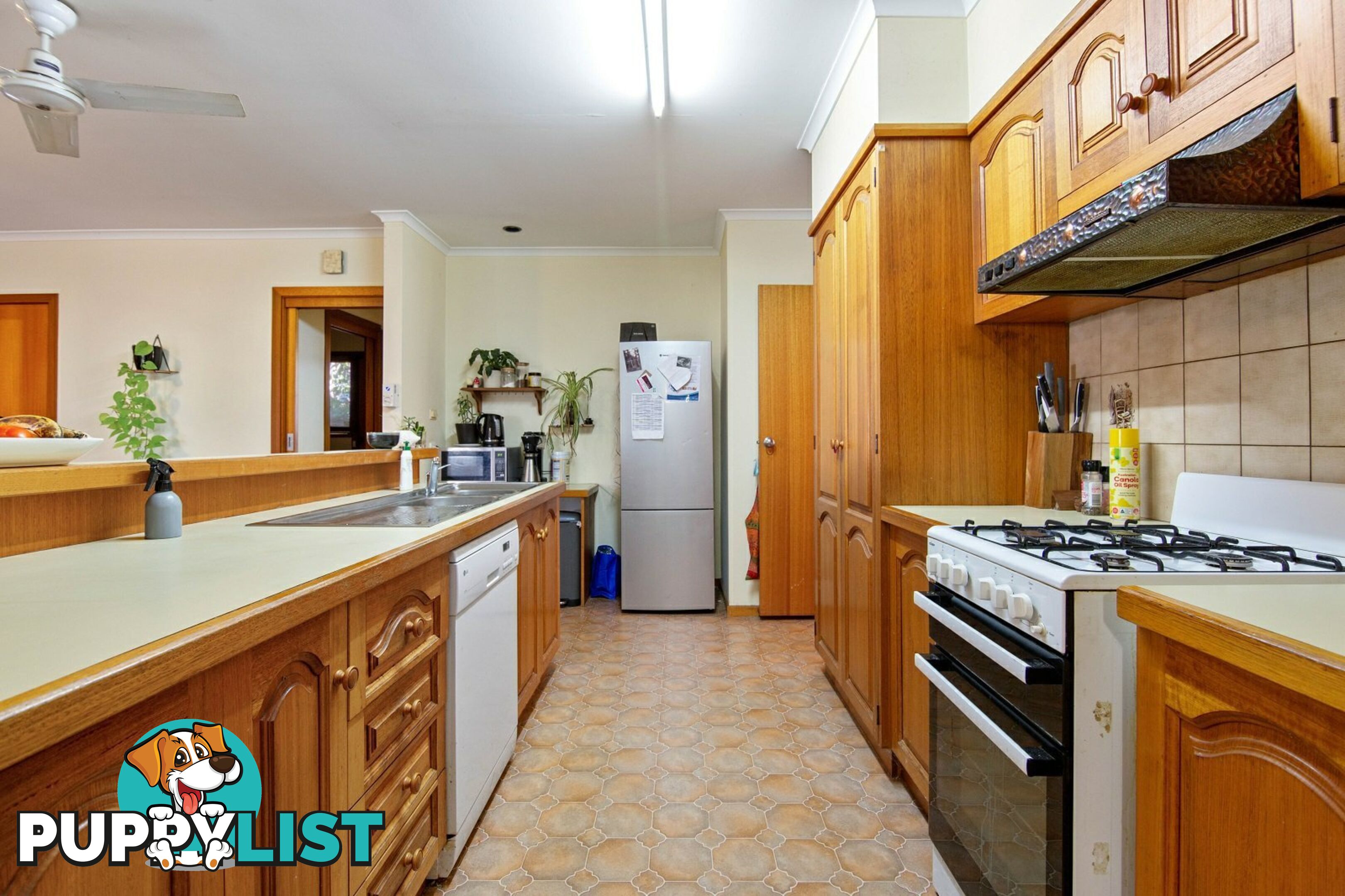 16 Queen Street PAYNESVILLE VIC 3880