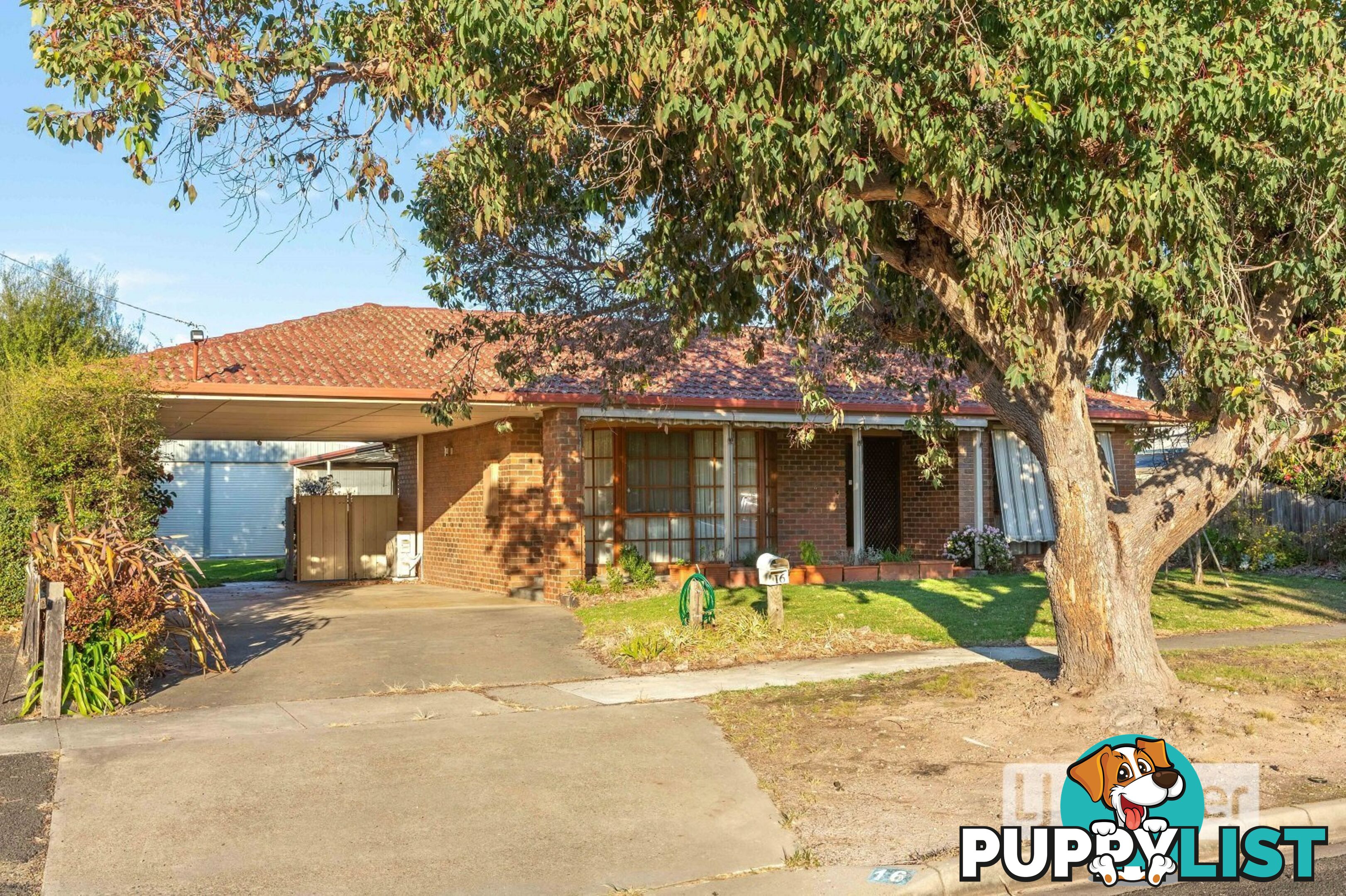 16 Queen Street PAYNESVILLE VIC 3880