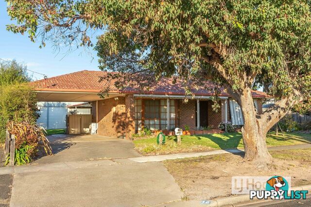 16 Queen Street PAYNESVILLE VIC 3880
