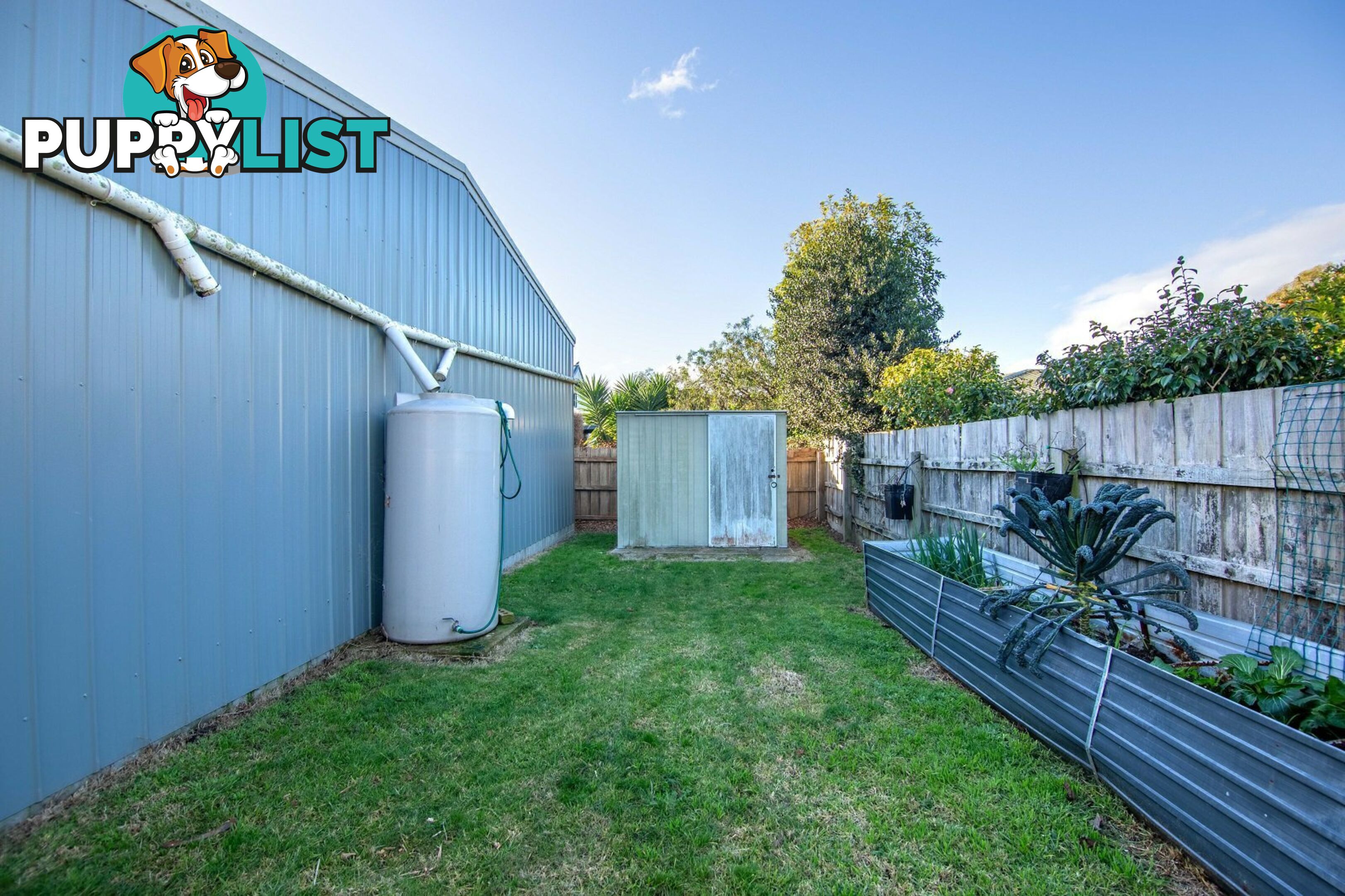 16 Queen Street PAYNESVILLE VIC 3880