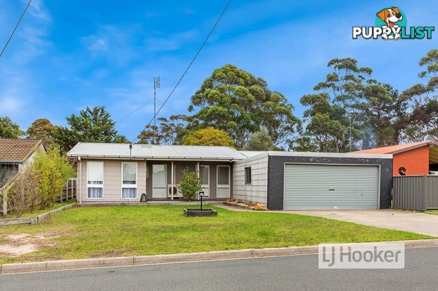 39 Vaughan Street PAYNESVILLE VIC 3880