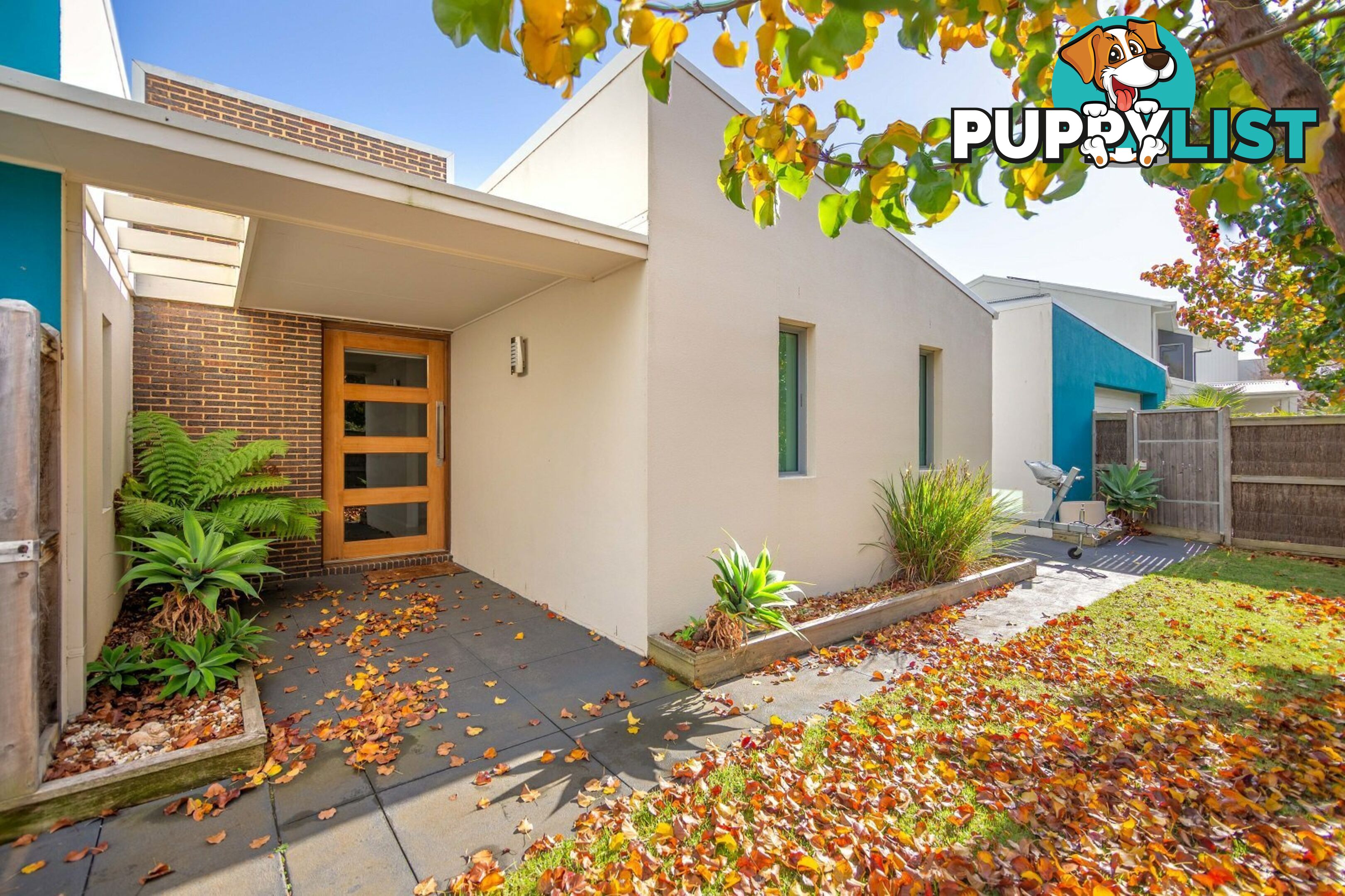 9 Government Road PAYNESVILLE VIC 3880