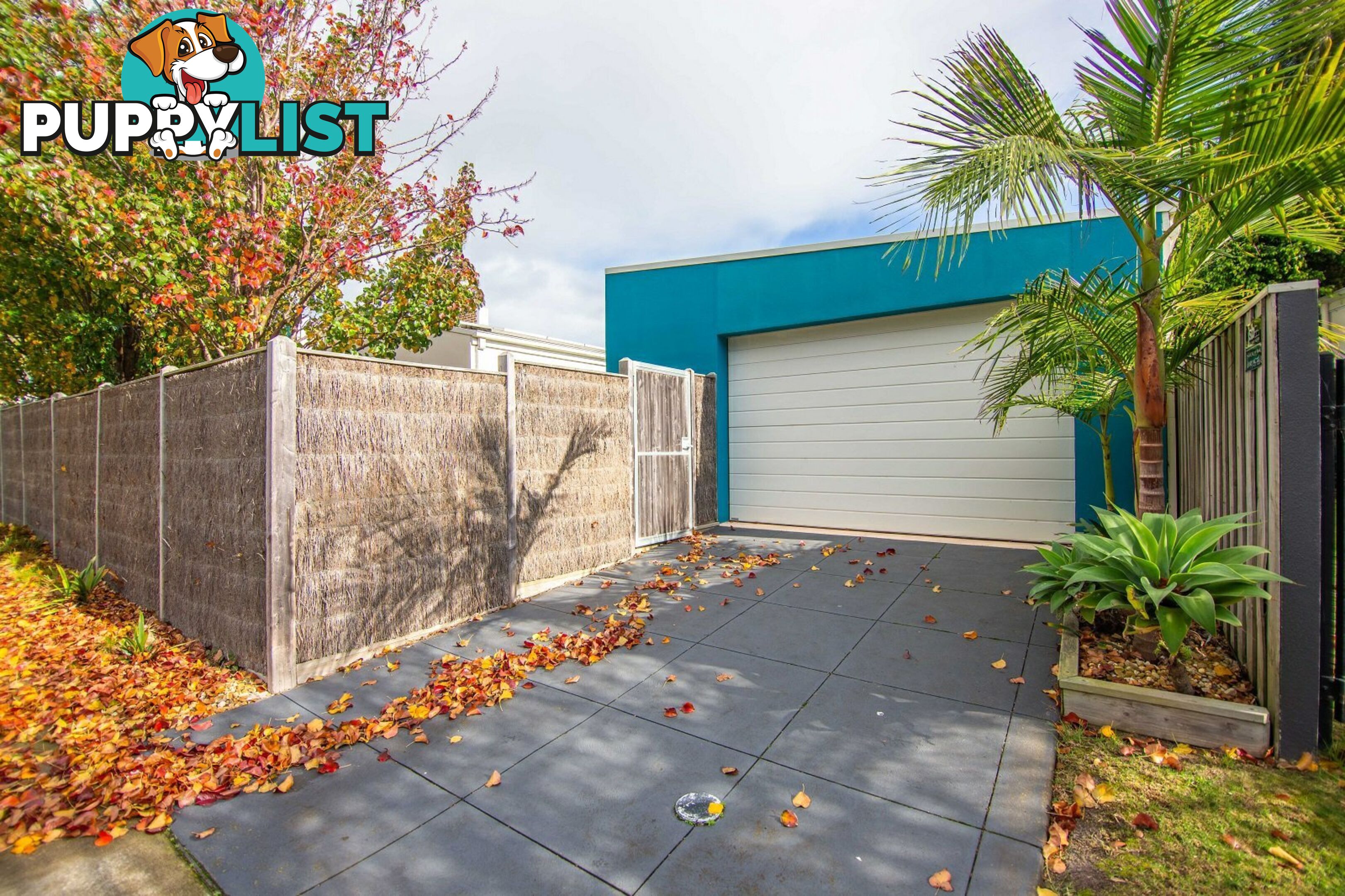 9 Government Road PAYNESVILLE VIC 3880