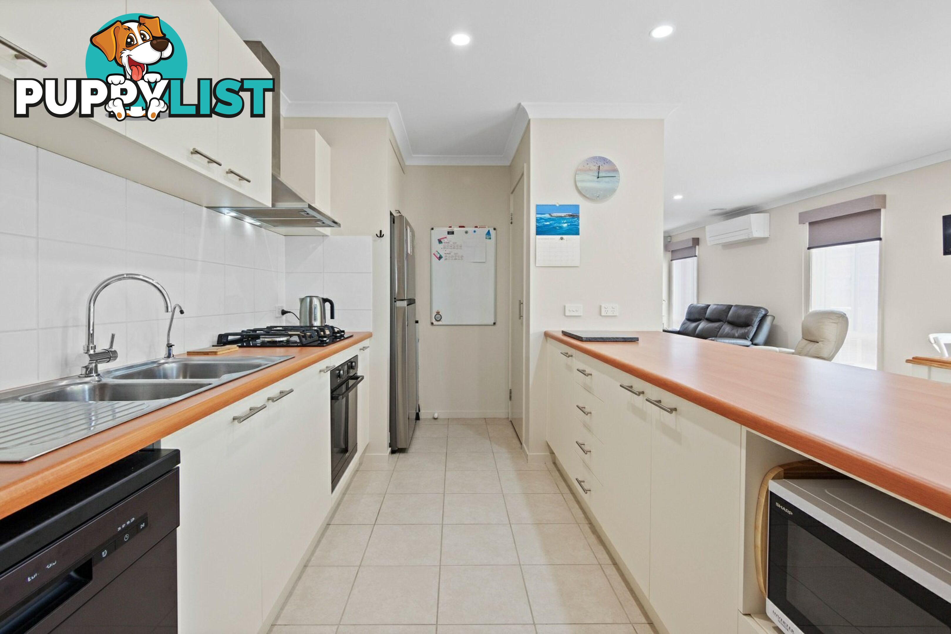 13 Digney Street PAYNESVILLE VIC 3880