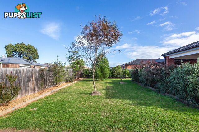 9 Digney Street PAYNESVILLE VIC 3880