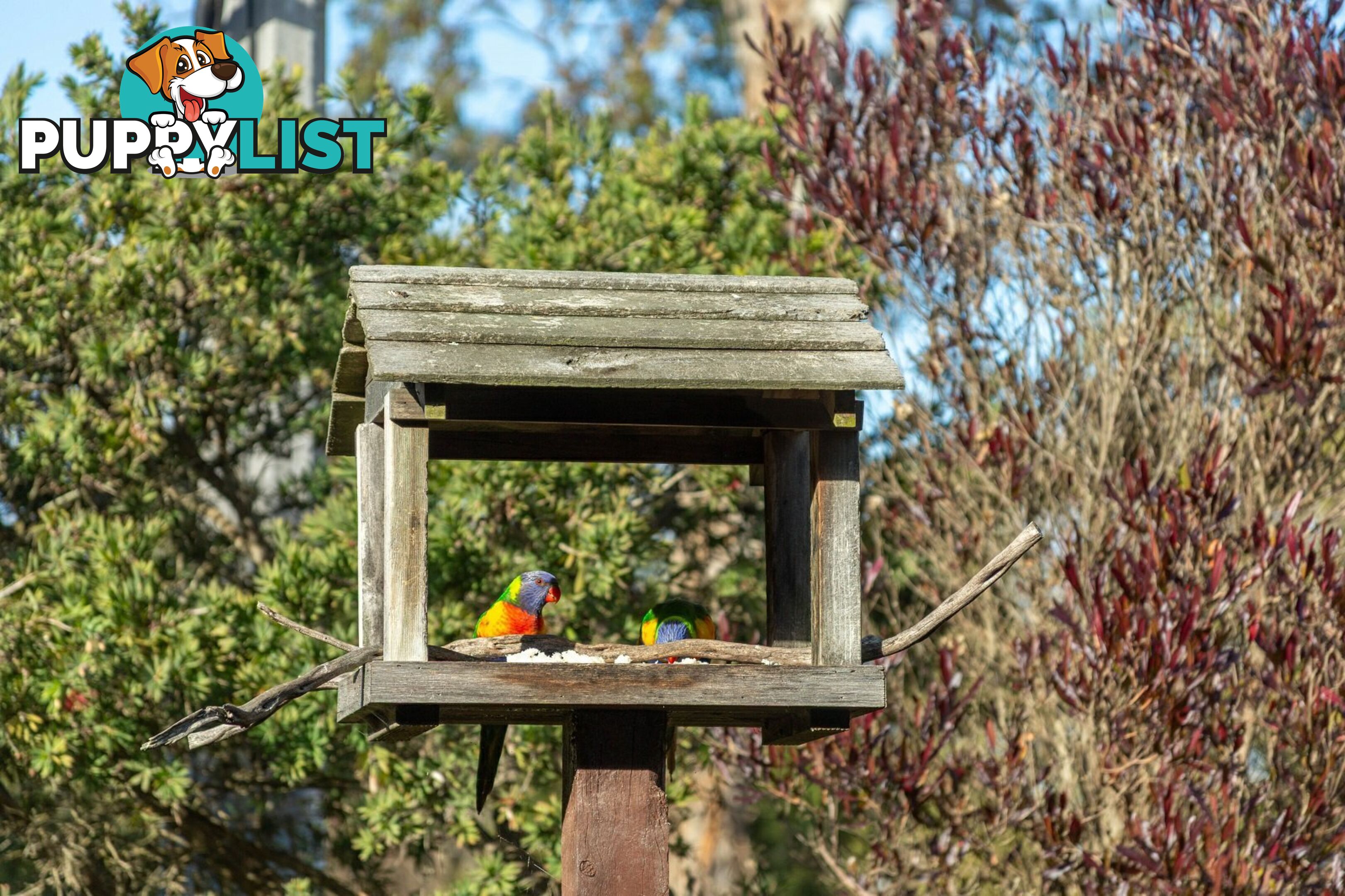 124 Newlands Drive PAYNESVILLE VIC 3880