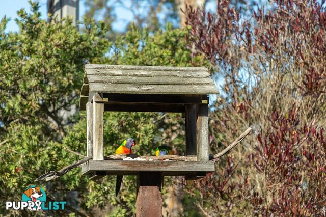 124 Newlands Drive PAYNESVILLE VIC 3880