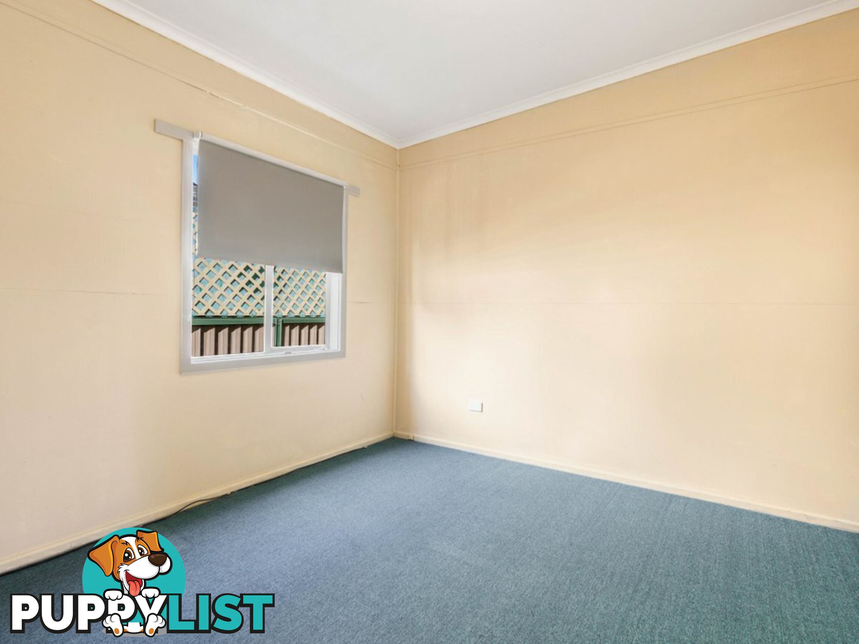 41 Cumming Street PAYNESVILLE VIC 3880
