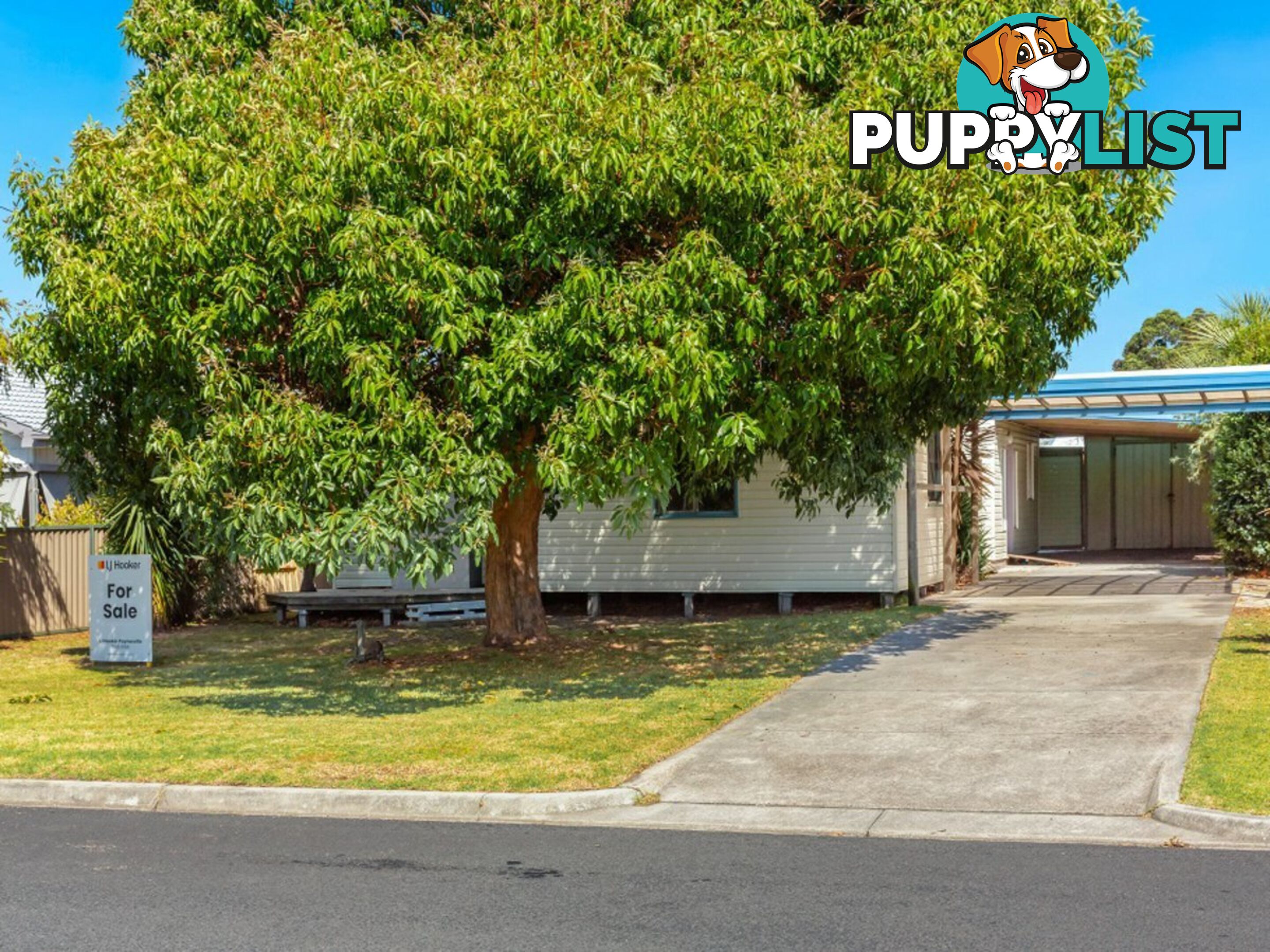 41 Cumming Street PAYNESVILLE VIC 3880