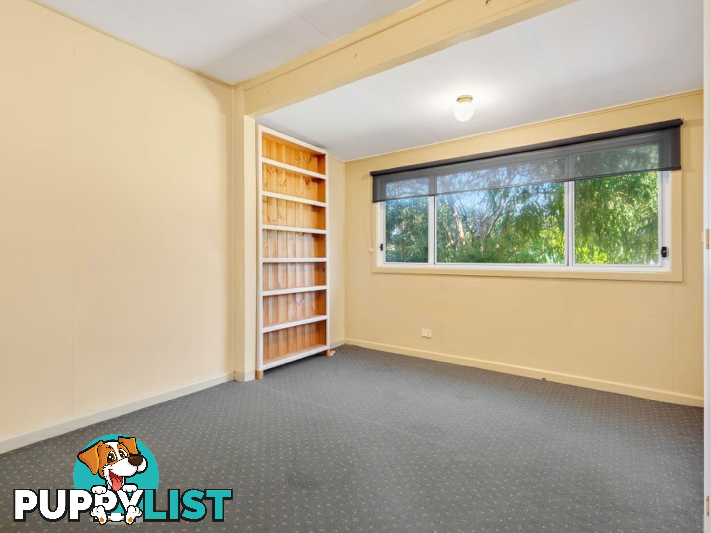 41 Cumming Street PAYNESVILLE VIC 3880