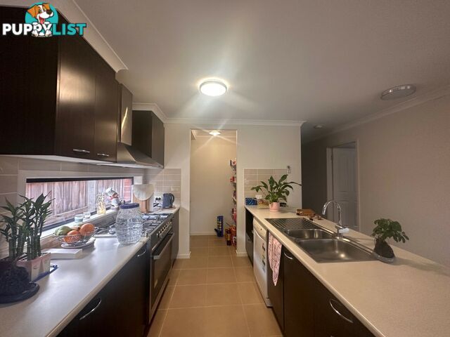14B Len Cook Drive EASTWOOD VIC 3875