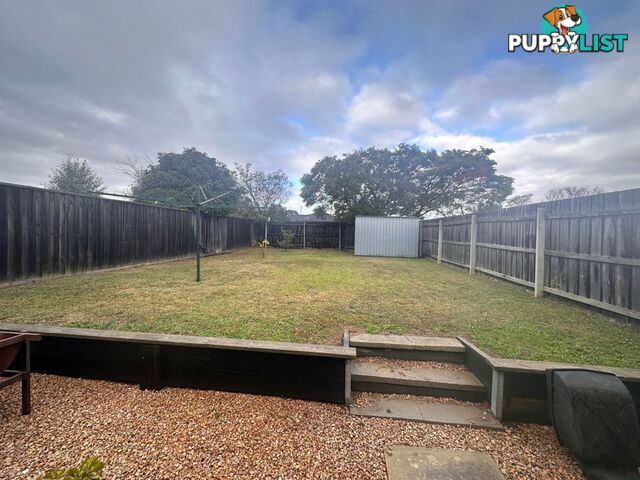 14B Len Cook Drive EASTWOOD VIC 3875